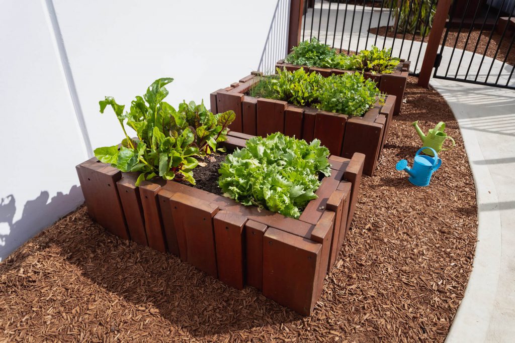 beautiful plant image of nido child care centre kingsway