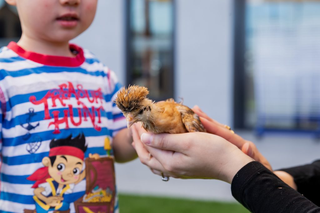 nido teacher and kid image of nido child care centre in treeby