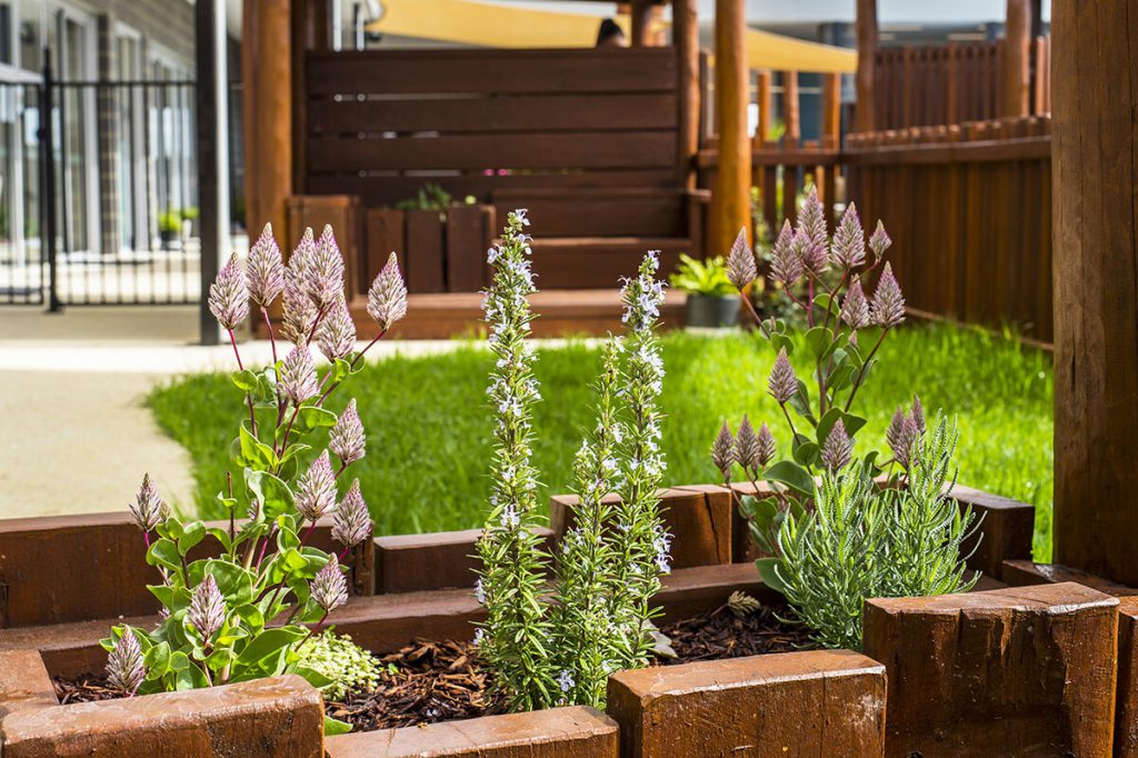 garden view of nido child care centre at banksia grove
