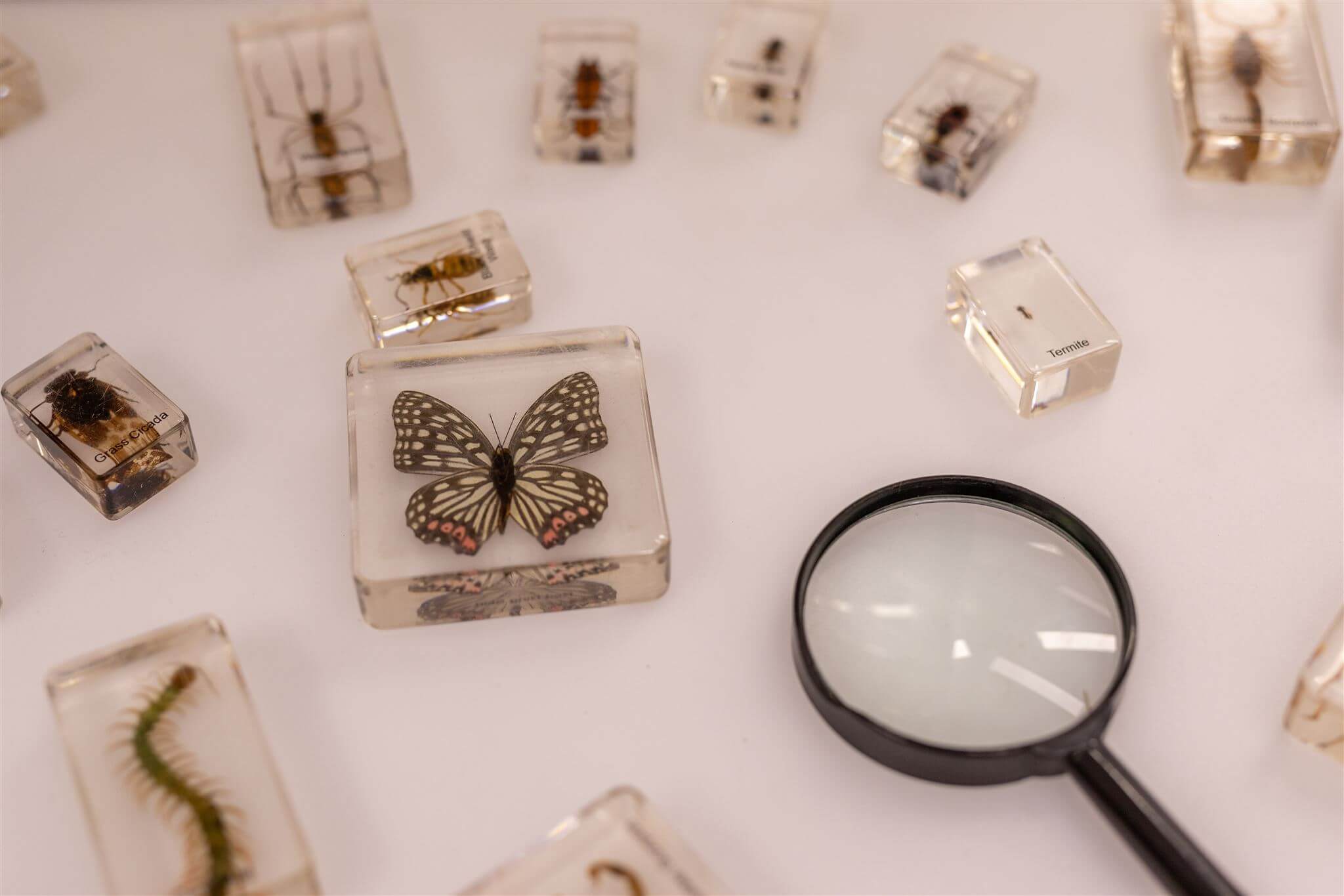 Encouraging Curiosity In Your Child Encouraging Curiosity In Your Child